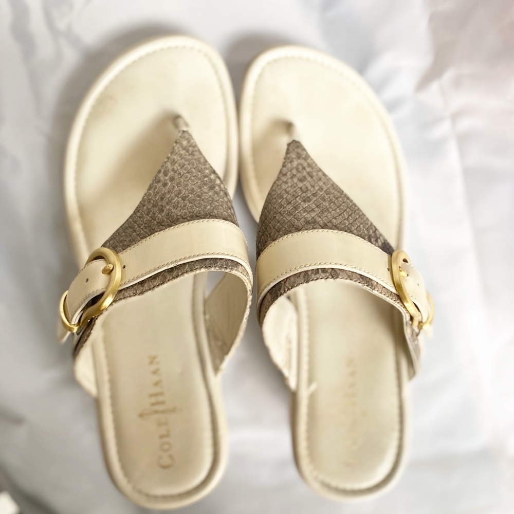 Cole Haan with Nike Air Technology Platform sandal